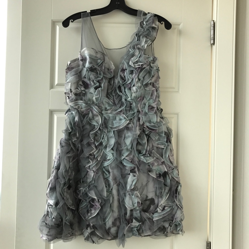 NWT BCBG Runway Dress Size 6 & 4